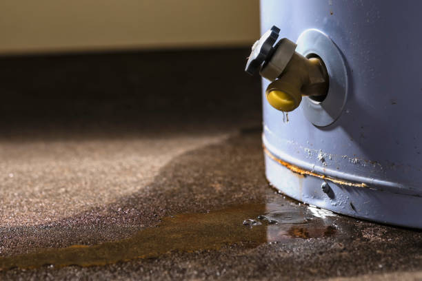 Best Sewage cleanup and water damage restoration  in Cold Spring Harbor, NY