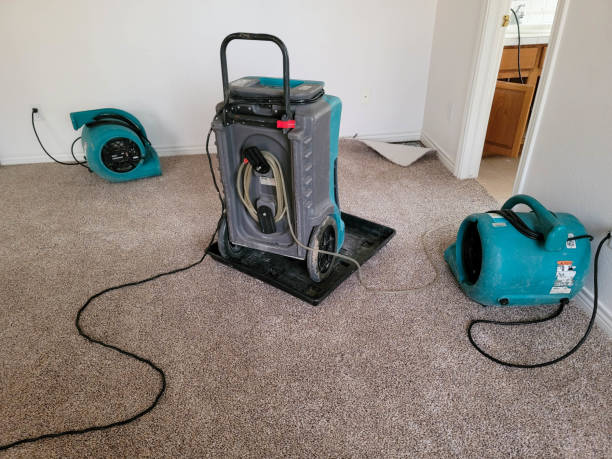 Best Carpet water damage restoration  in Cold Spring Harbor, NY