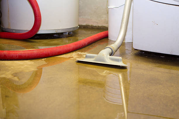 Best Mold removal after water damage  in Cold Spring Harbor, NY