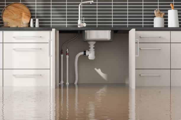 Best Water damage restoration near me  in Cold Spring Harbor, NY